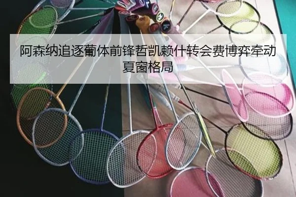 阿森纳追逐葡体前锋哲凯赖什转会费博弈牵动夏窗格局